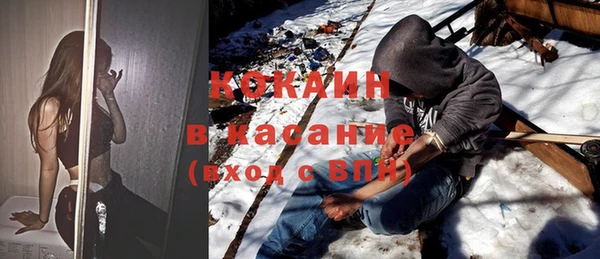 дживик Заречный