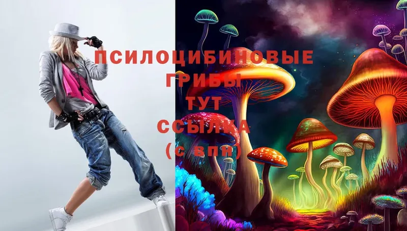 Псилоцибиновые грибы MAGIC MUSHROOMS  shop как зайти  Бузулук 