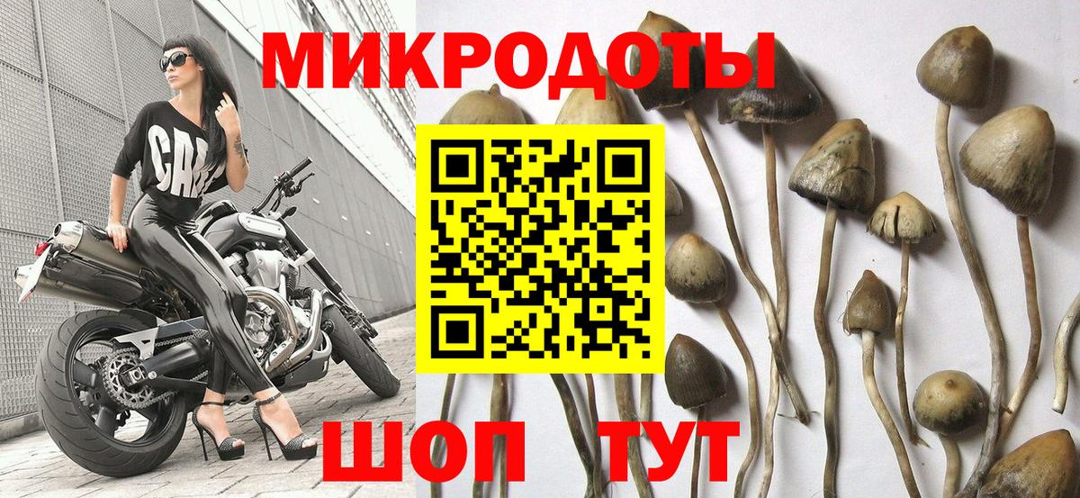Псилоцибиновые грибы Magic Shrooms Бузулук