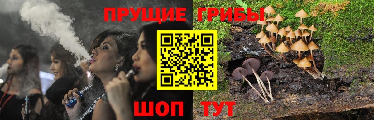 Бузулук  Псилоцибиновые грибы мицелий  Псилоцибиновые грибы мухоморы  Вход с VPN 