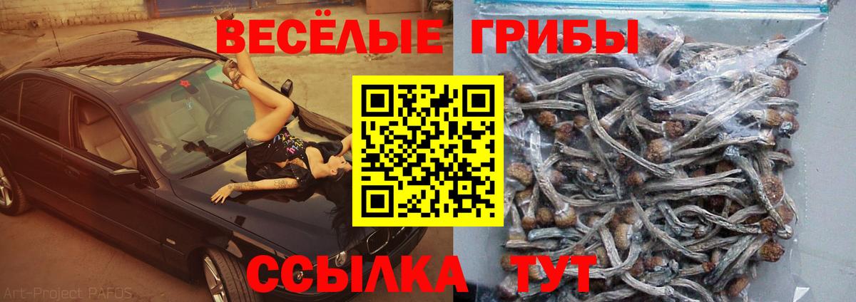 ГЕРОИН  Бошки Шишки  Кодеин  ГАШИШ  Купить наркотики  Мефедрон кристаллы  Бузулук  Кокаин 